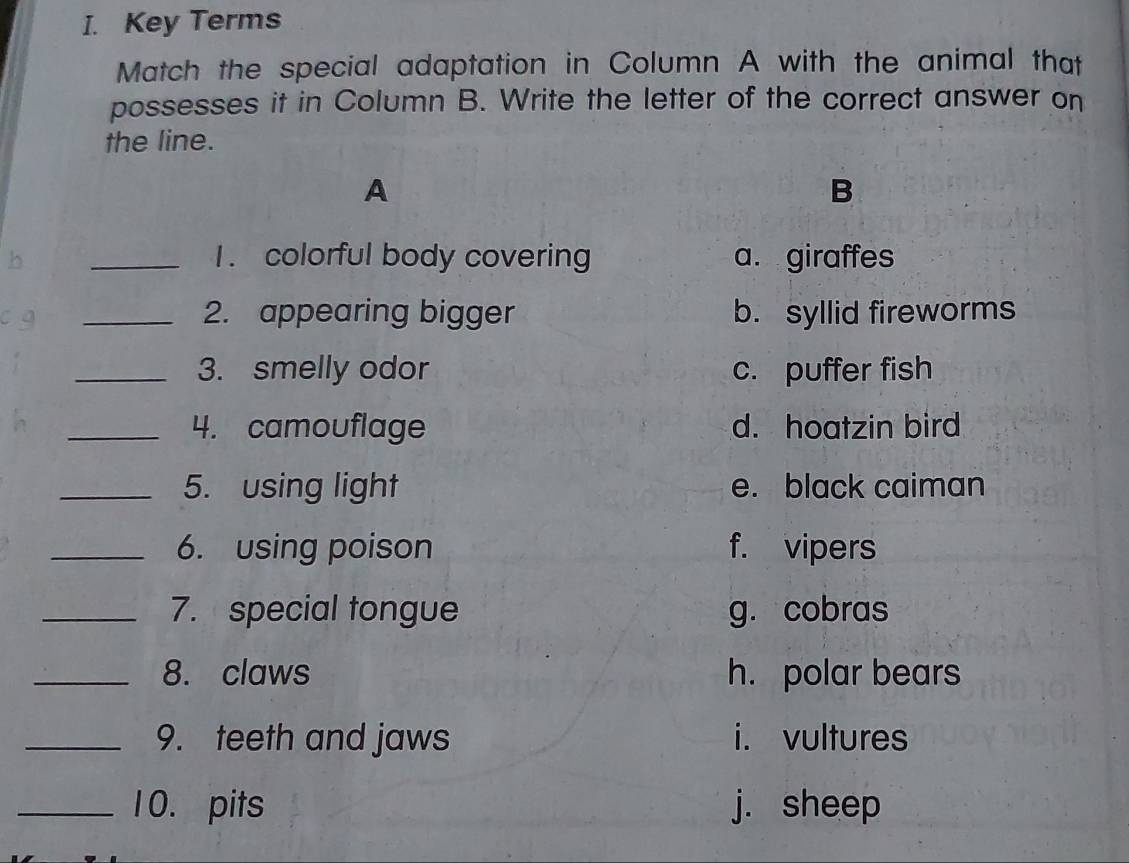 Key Terms
Match the special adaptation in Column A with the animal that
possesses it in Column B. Write the letter of the correct answer on
the line.
A
B
_1. colorful body covering a. giraffes
_2. appearing bigger b. syllid fireworms
_3. smelly odor c. puffer fish
_4. camouflage d. hoatzin bird
_5. using light e. black caiman
_6. using poison f. vipers
_7. special tongue g. cobras
_8. claws h. polar bears
_9. teeth and jaws i. vultures
_10. pits j. sheep