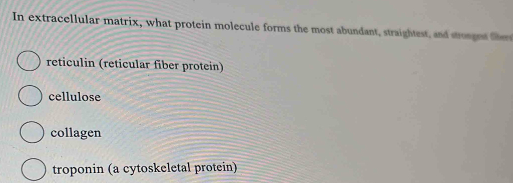 In extracellular matrix, what protein molecule forms the most abundant, straightest, and ston ged t
reticulin (reticular fiber protein)
cellulose
collagen
troponin (a cytoskeletal protein)