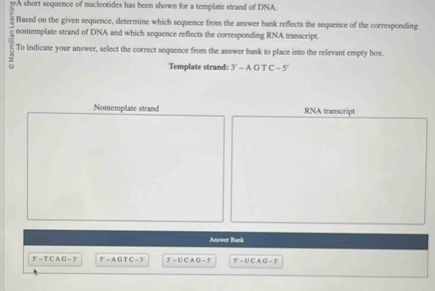 Solved: A short sequence of nucleotides has been shown for a template ...