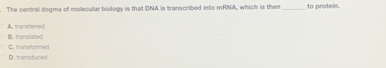 The central dogma of molecular biology is that DNA is transcribed into mRNA, which is then _to protein.
A. transferred
B. translated
C. transformed
D. transduced