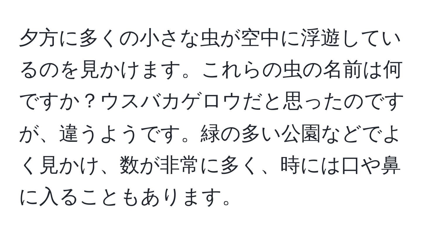 夕方に多くの小さな虫が空中に浮遊しているのを見かけます。これらの虫の名前は何ですか？ウスバカゲロウだと思ったのですが、違うようです。緑の多い公園などでよく見かけ、数が非常に多く、時には口や鼻に入ることもあります。