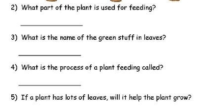 What part of the plant is used for feeding? 
_ 
3) What is the name of the green stuff in leaves? 
_ 
4) What is the process of a plant feeding called? 
_ 
5) If a plant has lots of leaves, will it help the plant grow?