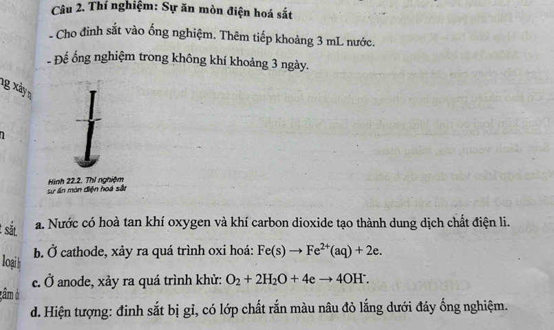 Thí nghiệm: Sự ăn mòn điện hoá sắt 
- Cho đinh sắt vào ống nghiệm. Thêm tiếp khoảng 3 mL nước. 
- Đế ống nghiệm trong không khí khoảng 3 ngày. 
ng xảy n 
Hình 22.2. Thí nghiệm 
sử ấn mòn điện hoá sắn 
sắt 
a. Nước có hoà tan khí oxygen và khí carbon dioxide tạo thành dung dịch chất điện li. 
b. Ở 
loại h cathode, xảy ra quá trình oxi hoá: Fe(s)to Fe^(2+)(aq)+2e. 
c. Ở anode, xảy ra quá trình khử: O_2+2H_2O+4eto 4OH^-. 
gâm ở 
d. Hiện tượng: đinh sắt bị gỉ, có lớp chất rắn màu nâu đỏ lắng dưới đáy ống nghiệm.