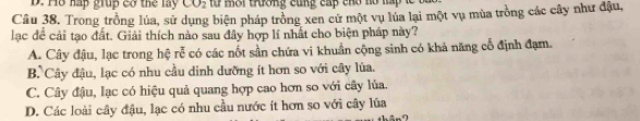 Ho hap grup cơ the lay CO_2 m i trương cung ca ch o no há t 
Câu 38. Trong trồng lúa, sử dụng biện pháp trồng xen cử một vụ lúa lại một vụ mùa trồng các cây như đậu,
lạc để cải tạo đất. Giải thích nào sau đây hợp lí nhất cho biện pháp này?
A. Cây đậu, lạc trong hệ rễ có các nốt sản chứa vi khuẩn cộng sinh có khả năng cổ định đạm.
B. Cây đậu, lạc có nhu cầu dinh dưỡng ít hơn so với cây lúa.
C. Cây đậu, lạc có hiệu quả quang hợp cao hơn so với cây lủa.
D. Các loài cây đậu, lạc có nhu cầu nước ít hơn so với cây lúa