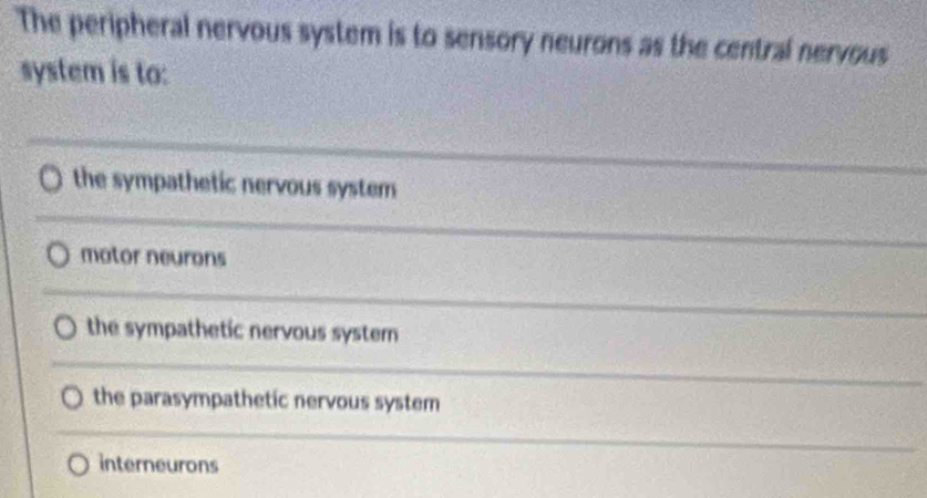 The peripheral nervous system is to sensory neurons as the central nervous
system is to:
the sympathetic nervous system
motor neurons
the sympathetic nervous system
the parasympathetic nervous system
interneurons