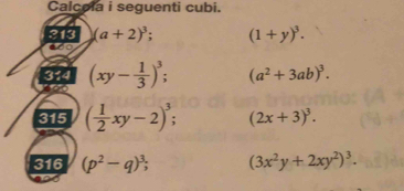 Calcola i seguenti cubi. 
213 (a+2)^3; (1+y)^3. 
ado 
314 (xy- 1/3 )^3; (a^2+3ab)^3. 
315 ( 1/2 xy-2)^3; (2x+3)^3. 
316 (p^2-q)^3; (3x^2y+2xy^2)^3.