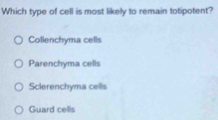 Which type of cell is most likely to remain totipotent?
Collenchyma cells
Parenchyma cells
Sclerenchyma cells
Guard cells