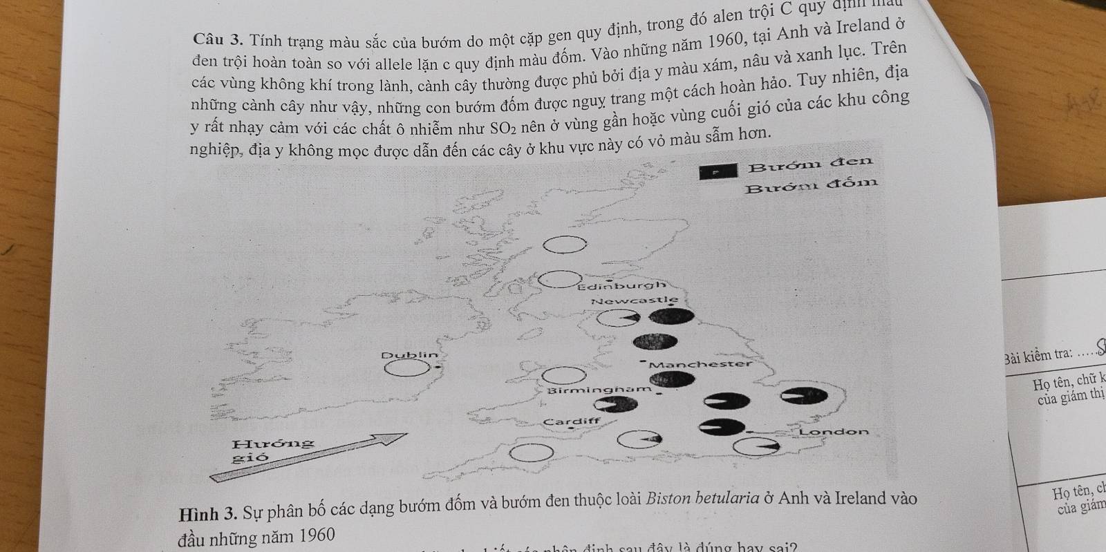 Tính trạng màu sắc của bướm do một cặp gen quy định, trong đó alen trội C quy địnn 
đen trội hoàn toàn so với allele lặn c quy định màu đốm. Vào những năm 1960, tại Anh và Ireland ở 
các vùng không khí trong lành, cành cây thường được phủ bởi địa y màu xám, nâu và xanh lục. Trên 
những cành cây như vậy, những con bướm đốm được nguy trang một cách hoàn hảo. Tuy nhiên, địa 
y rất nhạy cảm với các chất ô nhiễm như SO_2 nên ở vùng gần hoặc vùng cuối gió của các khu công 
nghiệp, địa y không mọc được dẫn đến các cây ở khu vực này có vỏ màu sẫm hơn. 
Buớm đen 
Bướm đốm 
Edinburg 
Newcastle 
Manchester 
3ài kiểm tra: r 
Họ tên, chữ k 
ủa giám thị 
Cardiff 
o e 
Hình 3. Sự phân bố các dạng bướm đốm và bướm đen thuộc loài Biston betularia ở Anh và Ireland vào 
Họ tên, ch 
của giám 
đầu những năm 1960
đ â y là đúng hay sai2