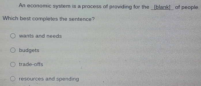 An economic system is a process of providing for the _[blank]_ of people.
Which best completes the sentence?
wants and needs
budgets
trade-offs
resources and spending