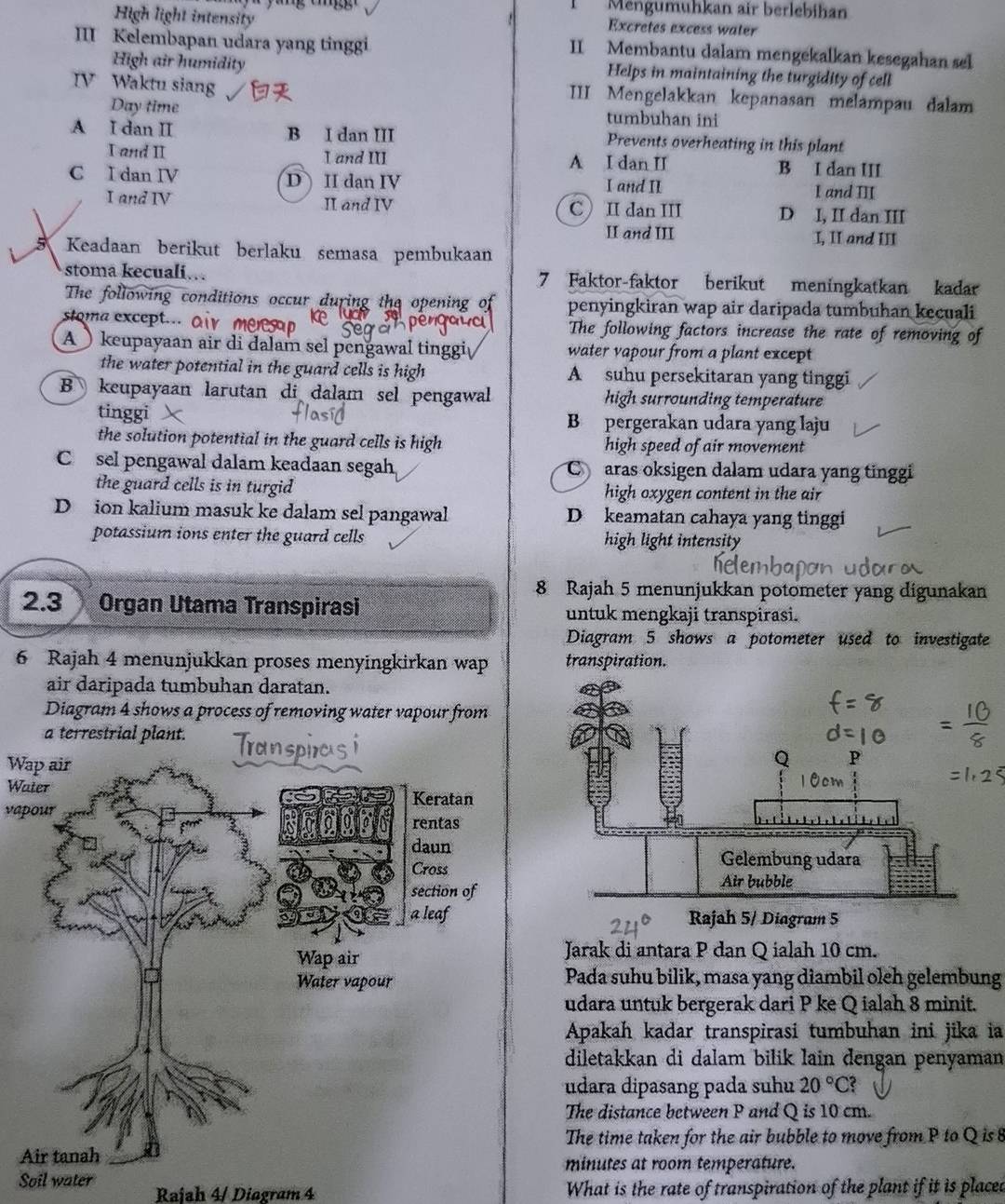 Mengumühkan air berlebihan
High light intensity
Excretes excess water
III Kelembapan udara yang tinggi II Membantu dalam mengekalkan kesegahan sel
High air humidity Helps in maintaining the turgidity of cell
IV Waktu siang III Mengelakkan kepanasan melampau dalam
Day time tumbuhan ini
A I dan II B I dan III Prevents overheating in this plant
I and ⅡI I and III A I dan II
B I dan III
C I dan IV DII dan IV I and II I and III
I and IV II and IV CII dan III D I, II dan III
II and III I, II and III
5 Keadaan berikut berlaku semasa pembukaan
stoma kecuali… 7 Faktor-faktor berikut meningkatkan kadar
The following conditions occur during the opening o penyingkiran wap air daripada tumbuhan kecuali
stoma except... Ot The following factors increase the rate of removing of
A keupayaan air di dalam sel pengawal tinggi water vapour from a plant except
the water potential in the guard cells is high A suhu persekitaran yang tinggi
B  keupayaan larutan di dalam sel pengawall high surrounding temperature
tinggi B pergerakan udara yang laju
the solution potential in the guard cells is high high speed of air movement
Csel pengawal dalam keadaan segah C aras oksigen dalam udara yang tinggi
the guard cells is in turgid high oxygen content in the air
D ion kalium masuk ke dalam sel pangawal D keamatan cahaya yang tinggi
potassium ions enter the guard cells high light intensity
8 Rajah 5 menunjukkan potometer yang digunakan
2.3 Organ Utama Transpirasi untuk mengkaji transpirasi.
Diagram 5 shows a potometer used to investigate
6 Rajah 4 menunjukkan proses menyingkirkan wap transpiration.
air daripada tumbuhan daratan.
Diagram 4 shows a process of removing water vapour from
Wap air
Water
vapour
Jarak di antara P dan Q ialah 10 cm.
Pada suhu bilik, masa yang diambil oleh gelembung
udara untuk bergerak dari P ke Q ialah 8 minit.
Apakah kadar transpirasi tumbuhan ini jika ia
diletakkan di dalam bilik lain dengan penyaman
udara dipasang pada suhu 20°C?
The distance between P and Q is 10 cm.
The time taken for the air bubble to move from P to Q is 8
A
minutes at room temperature.
Soil water
Raiah 4/ Diogram 4 What is the rate of transpiration of the plant if it is placed