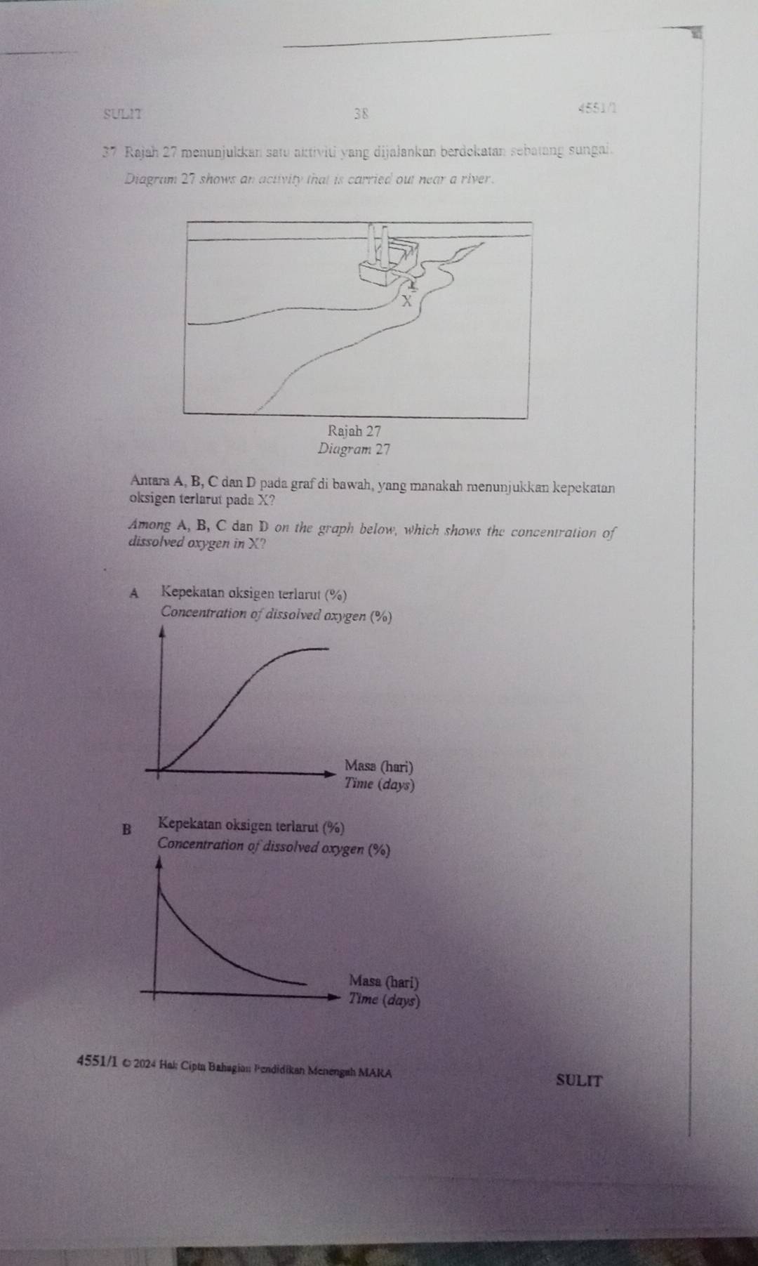 SULIT 38 4551/1 
37 Rajah 27 menunjukkan satu aktiviti yang dijajankan berdckatan sebatang sungai. 
Diagram 27 shows an activity that is carried out near a river. 
Antara A, B, C dan D pada graf di bawah, yang manakah menunjukkan kepekatan 
oksigen terlarut pada X? 
Among A, B, C dan D on the graph below, which shows the concentration of 
dissolved oxygen in X? 
A Kepekatan oksigen terlarut (%) 
Concentration of dissolved oxygen (%) 
Masa (hari) 
Time (days) 
4551/1 © 2024 Hal; Cipt Bahagian; Pendidikan Menengah MARA 
SULIT