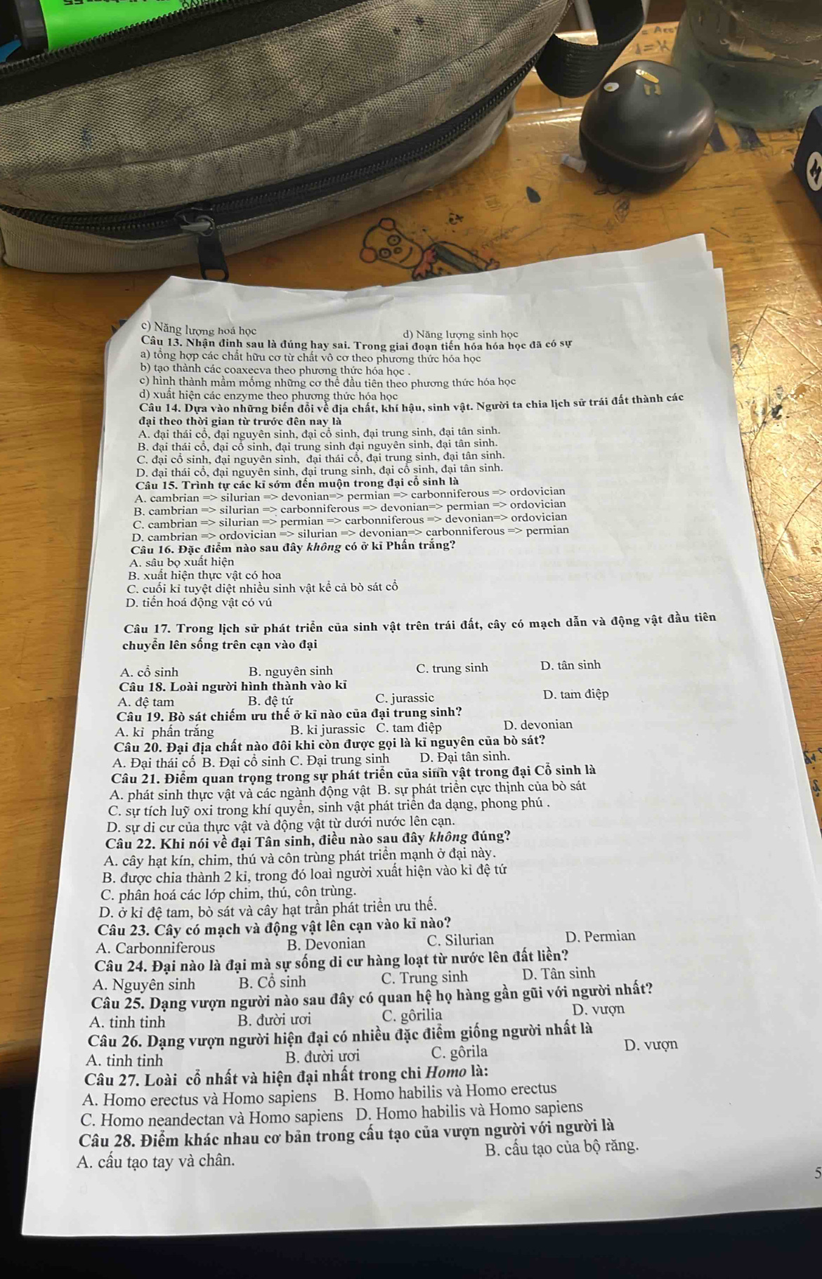 c) Năng lượng hoá học
d) Năng lượng sinh học
Câu 13. Nhận đinh sau là đúng hay sai. Trong giai đoạn tiền hóa hóa học đã có sự
a) tổng hợp các chất hữu cơ từ chất vô cơ theo phương thức hóa học
b) tạo thành các coaxecva theo phương thức hóa học .
c) hình thành mầm mốmg những cơ thể đầu tiên theo phương thức hóa học
d) xuất hiện các enzyme theo phương thức hóa học
Câu 14. Dựa vào những biến đổi về địa chất, khí hậu, sinh vật. Người ta chia lịch sử trái đất thành các
đại theo thời gian từ trước đên nay là
A. đại thái cổ, đại nguyên sinh, đại cổ sinh, đại trung sinh, đại tân sinh.
B. đại thái cổ, đại cổ sinh, đại trung sinh đại nguyên sinh, đại tân sinh.
C. đại cổ sinh, đại nguyên sinh, đại thái cổ, đại trung sinh, đại tân sinh.
D. đại thái cổ, đại nguyên sinh, đại trung sinh, đại cổ sinh, đại tân sinh.
Câu 15. Trình tự các kĩ sớm đến muộn trong đại cổ sinh là
A. cambrian => silurian => devonian=> permian => carbonniferous => ordovician
B. cambrian => silurian => carbonniferous => devonian=> permian => ordovician
C. cambrian => silurian => permian => carbonniferous => devonian=> ordovician
D. cambrian => ordovician => silurian => devonian=> carbonniferous => permian
Câu 16. Đặc điểm nào sau đây không có ở kĩ Phấn trắng?
A. sâu bọ xuất hiện
B. xuất hiện thực vật có hoa
C. cuối ki tuyệt diệt nhiều sinh vật kể cả bò sát cổ
D. tiến hoá động vật có vú
Câu 17. Trong lịch sử phát triển của sinh vật trên trái đất, cây có mạch dẫn và động vật đầu tiên
chuyển lên sống trên cạn vào đại
A. cổ sinh B. nguyên sinh C. trung sinh D. tân sinh
Câu 18. Loài người hình thành vào kỉ
A. đệ tam B. đệ tứ C. jurassic D. tam điệp
Câu 19. Bò sát chiếm ưu thế ở kĩ nào của đại trung sinh?
A. kỉ phần trắng B. ki jurassic C. tam điệp D. devonian
Câu 20. Đại địa chất nào đôi khi còn được gọi là kĩ nguyên của bò sát?
A. Đại thái cố B. Đại cổ sinh C. Đại trung sinh D. Đại tân sinh.
Câu 21. Điểm quan trọng trong sự phát triển của sinh vật trong đại Cổ sinh là
A. phát sinh thực vật và các ngành động vật B. sự phát triển cực thịnh của bò sát
C. sự tích luỹ oxi trong khí quyển, sinh vật phát triển đa dạng, phong phú .
D. sự di cư của thực vật và động vật từ dưới nước lên cạn.
Câu 22. Khi nói về đại Tân sinh, điều nào sau đây không đúng?
A. cây hạt kín, chim, thú và côn trùng phát triển mạnh ở đại này.
B. được chia thành 2 ki, trong đó loai người xuất hiện vào kỉ đệ tứ
C. phân hoá các lớp chim, thú, côn trùng.
D. ở kỉ đệ tam, bò sát và cây hạt trần phát triển ưu thế.
Câu 23. Cây có mạch và động vật lên cạn vào kĩ nào?
A. Carbonniferous B. Devonian C. Silurian D. Permian
Câu 24. Đại nào là đại mà sự sống di cư hàng loạt từ nước lên đất liền?
A. Nguyên sinh B. Cổ sinh C. Trung sinh D. Tân sinh
Câu 25. Dạng vượn người nào sau đây có quan hệ họ hàng gần gũi với người nhất?
A. tinh tinh B. đười ươi C. gôrilia D. vượn
Câu 26. Dạng vượn người hiện đại có nhiều đặc điểm giống người nhất là
A. tinh tinh B. đười ươi C. gôrila D. vượn
Câu 27. Loài cổ nhất và hiện đại nhất trong chi Homo là:
A. Homo erectus và Homo sapiens B. Homo habilis và Homo erectus
C. Homo neandectan và Homo sapiens D. Homo habilis và Homo sapiens
Câu 28. Điểm khác nhau cơ bản trong cấu tạo của vượn người với người là
A. cấu tạo tay và chân. B. cấu tạo của bộ răng.
5