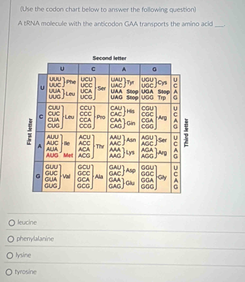 (Use the codon chart below to answer the following question)
A tRNA molecule with the anticodon GAA transports the amino acid _.
leucine
phenylalanine
lysine
tyrosine