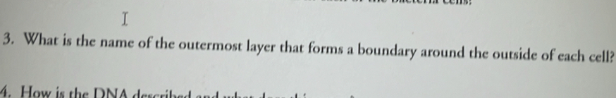 What is the name of the outermost layer that forms a boundary around the outside of each cell? 
4. How is the DNA dese