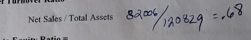 Net Sales / Total Assets