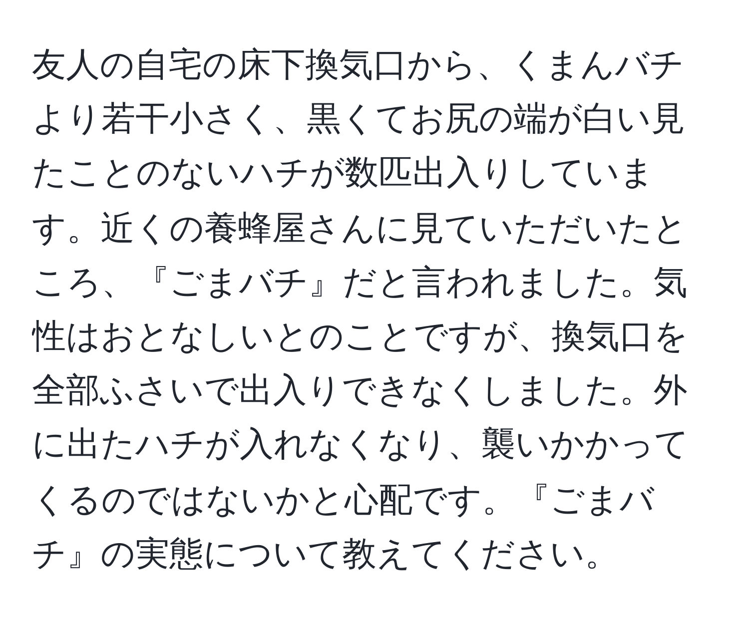 友人の自宅の床下換気口から、くまんバチより若干小さく、黒くてお尻の端が白い見たことのないハチが数匹出入りしています。近くの養蜂屋さんに見ていただいたところ、『ごまバチ』だと言われました。気性はおとなしいとのことですが、換気口を全部ふさいで出入りできなくしました。外に出たハチが入れなくなり、襲いかかってくるのではないかと心配です。『ごまバチ』の実態について教えてください。