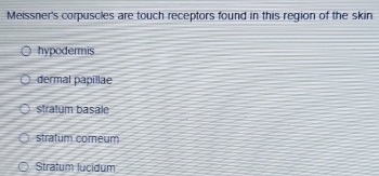 Meissner's corpuscles are touch receptors found in this region of the skin.
hypodermis
dermal papillae
stratum basale
stratum comeum
Stratum lucidum