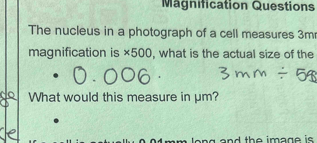 Solved: Magnification Questions The nucleus in a photograph of a cell ...