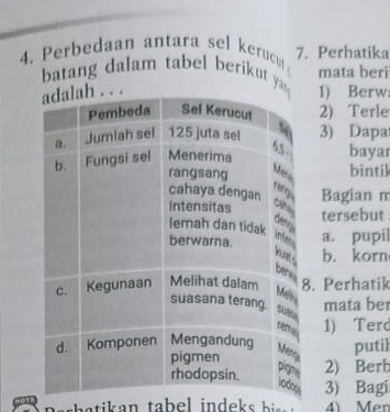 Perbedaan antara sel eruct 7. Perhatika 
batang dalam tabel berikut y mata beri 
1) Berw 
2) Terle 
3) Dapa 
bayar 
bintik 
Bagian m 
tersebut 
a. pupil 
b. korn 
. Perhatik 
mata ber 
1) Ter 
putil 
2) Berh 
3) Bagi 
h ti a n ta bel in deks b . 4) Men