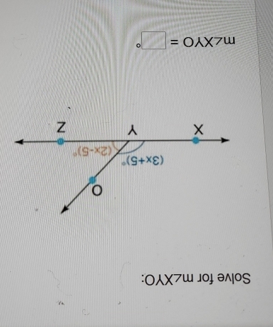 Solve for m∠ XYO
m∠ XYO=□°