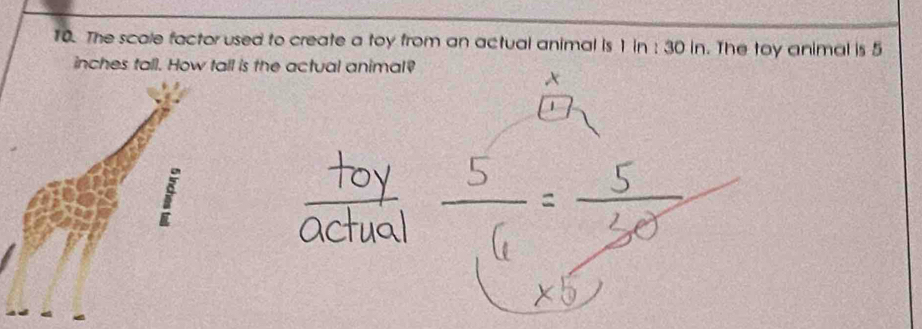 The scale factor used to create a toy from an actual animal is 1 in : 30 in. The toy animal is 5
inches tall. How tall is the actual animal?
x