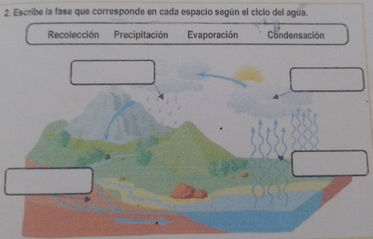 Escribe la fase que corresponde en cada espacio según el ciclo del agua.