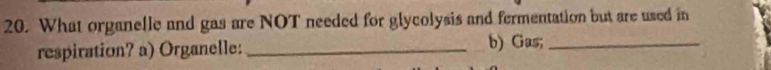 What organelle and gas are NOT needed for glycolysis and fermentation but are used in 
respiration? a) Organelle:_ 
b) Gas;_