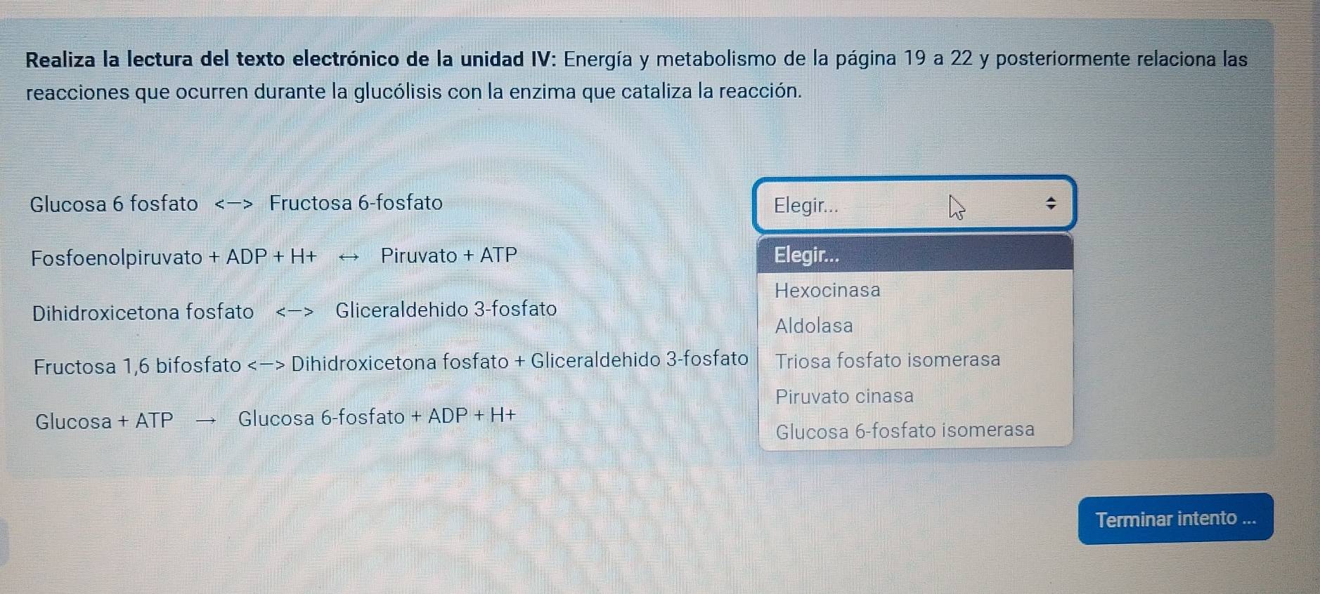 Realiza la lectura del texto electrónico de la unidad IV: Energía y metabolismo de la página 19 a 22 y posteriormente relaciona las
reacciones que ocurren durante la glucólisis con la enzima que cataliza la reacción.
Glucosa 6 fosfato <-> Fructosa 6 -fosfato Elegir...
;
Fosfoenolpiruvato + ADP+H+ rightarrow Piruvato + ATP Elegir...
Hexocinasa
Dihidroxicetona fosfato Gliceraldehido 3 -fosfato
Aldolasa
Fructosa 1, 6 bifosfato Dihidroxicetona fosfato + Gliceraldehido 3-fosfato Triosa fosfato isomerasa
Piruvato cinasa
Glucosa + ATP Glucosa 6-fosfato +ADP+H+
Glucosa 6-fosfato isomerasa
Terminar intento ...