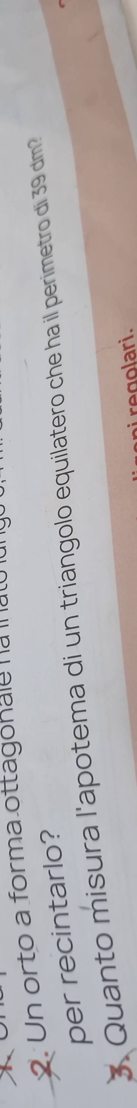 Un orto a forma ottagonaie n a i to l u 
per recintarlo? 
3 Quanto misura l'apotema di un triangolo equilatero che ha il perimetro di 39 dm