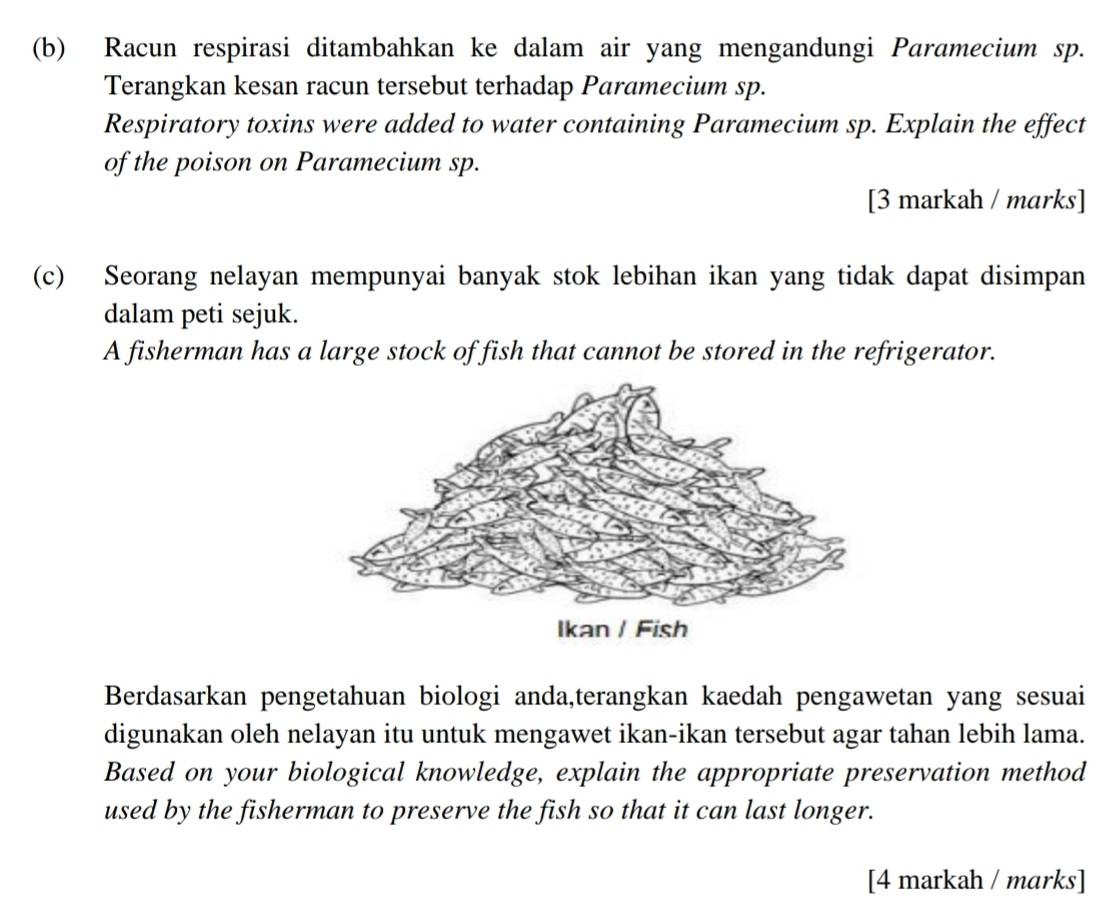 Racun respirasi ditambahkan ke dalam air yang mengandungi Paramecium sp. 
Terangkan kesan racun tersebut terhadap Paramecium sp. 
Respiratory toxins were added to water containing Paramecium sp. Explain the effect 
of the poison on Paramecium sp. 
[3 markah / marks] 
(c) Seorang nelayan mempunyai banyak stok lebihan ikan yang tidak dapat disimpan 
dalam peti sejuk. 
A fisherman has a large stock of fish that cannot be stored in the refrigerator. 
Berdasarkan pengetahuan biologi anda,terangkan kaedah pengawetan yang sesuai 
digunakan oleh nelayan itu untuk mengawet ikan-ikan tersebut agar tahan lebih lama. 
Based on your biological knowledge, explain the appropriate preservation method 
used by the fisherman to preserve the fish so that it can last longer. 
[4 markah / marks]