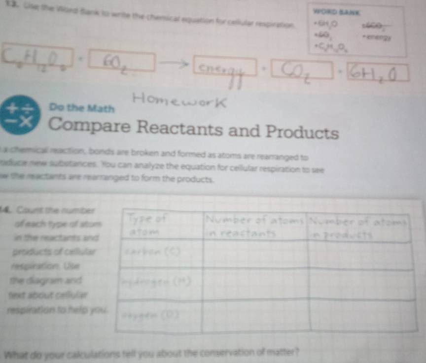 VORD SANK 
13. Cile the Word Bank to write the chemical equation for cellular respiration. 
* 
, 
+ Do the Math 
-x Compare Reactants and Products 
a chemical reaction, bonds are broken and formed as atoms are rearranged to 
duce new substances. You can analyze the equation for cellular respiration to see 
w the mactants are marranged to form the products. 
4 Count the number 
of each type of sto 
in the reactants an 
products of cellular 
respiration. Use 
the diagram and 
fext about cellular 
respiration to help y 
What do your calculations tell you about the conservation of matter?