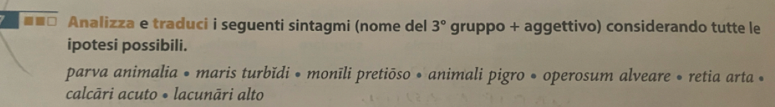 Analizza e traduci i seguenti sintagmi (nome del 3° gruppo + aggettivo) considerando tutte le 
ipotesi possibili. 
parva animalia • maris turbǐdi • monīli pretiōso • animali pigro • operosum alveare • retia arta • 
calcāri acuto • lacunāri alto