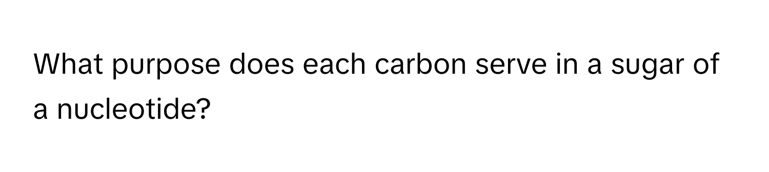 What purpose does each carbon serve in a sugar of a nucleotide?