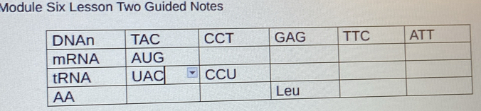 Module Six Lesson Two Guided Notes