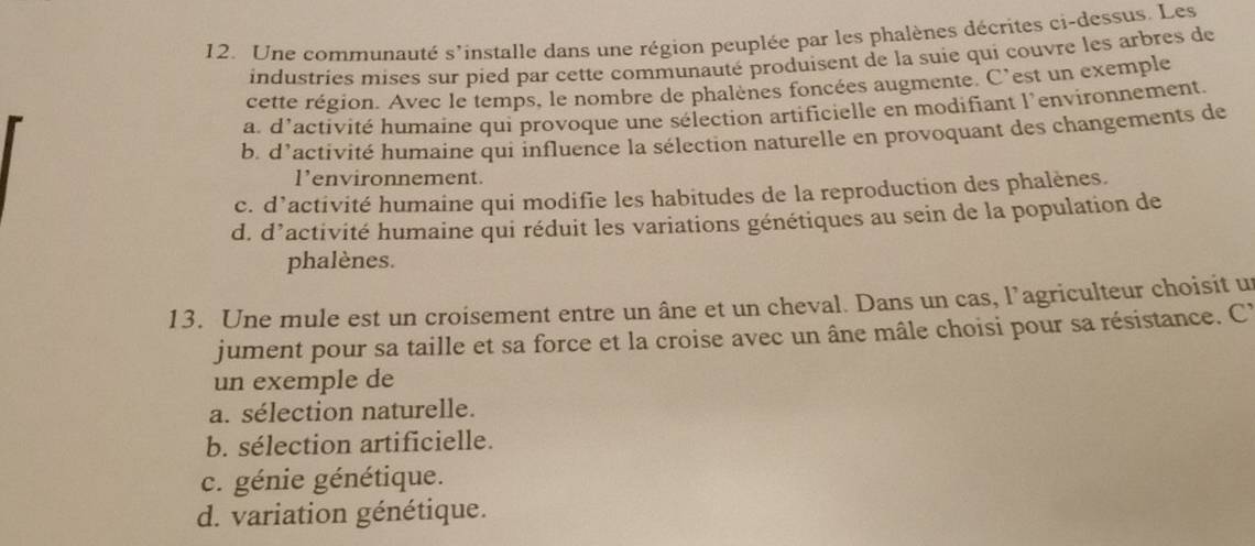 Une communauté s'installe dans une région peuplée par les phalènes décrites ci-dessus. Les
industries mises sur pied par cette communauté produisent de la suie qui couvre les arbres de
cette région. Avec le temps, le nombre de phalènes foncées augmente. C'est un exemple
at d'activité humaine qui provoque une sélection artificielle en modifiant l'environnement,
b. d'activité humaine qui influence la sélection naturelle en provoquant des changements de
l’environnement.
c. d’activité humaine qui modifie les habitudes de la reproduction des phalènes.
d. d’activité humaine qui réduit les variations génétiques au sein de la population de
phalènes.
13. Une mule est un croisement entre un âne et un cheval. Dans un cas, l’agriculteur choisit un
jument pour sa taille et sa force et la croise avec un âne mâle choisi pour sa résistance. C
un exemple de
a. sélection naturelle.
b. sélection artificielle.
c. génie génétique.
d. variation génétique.