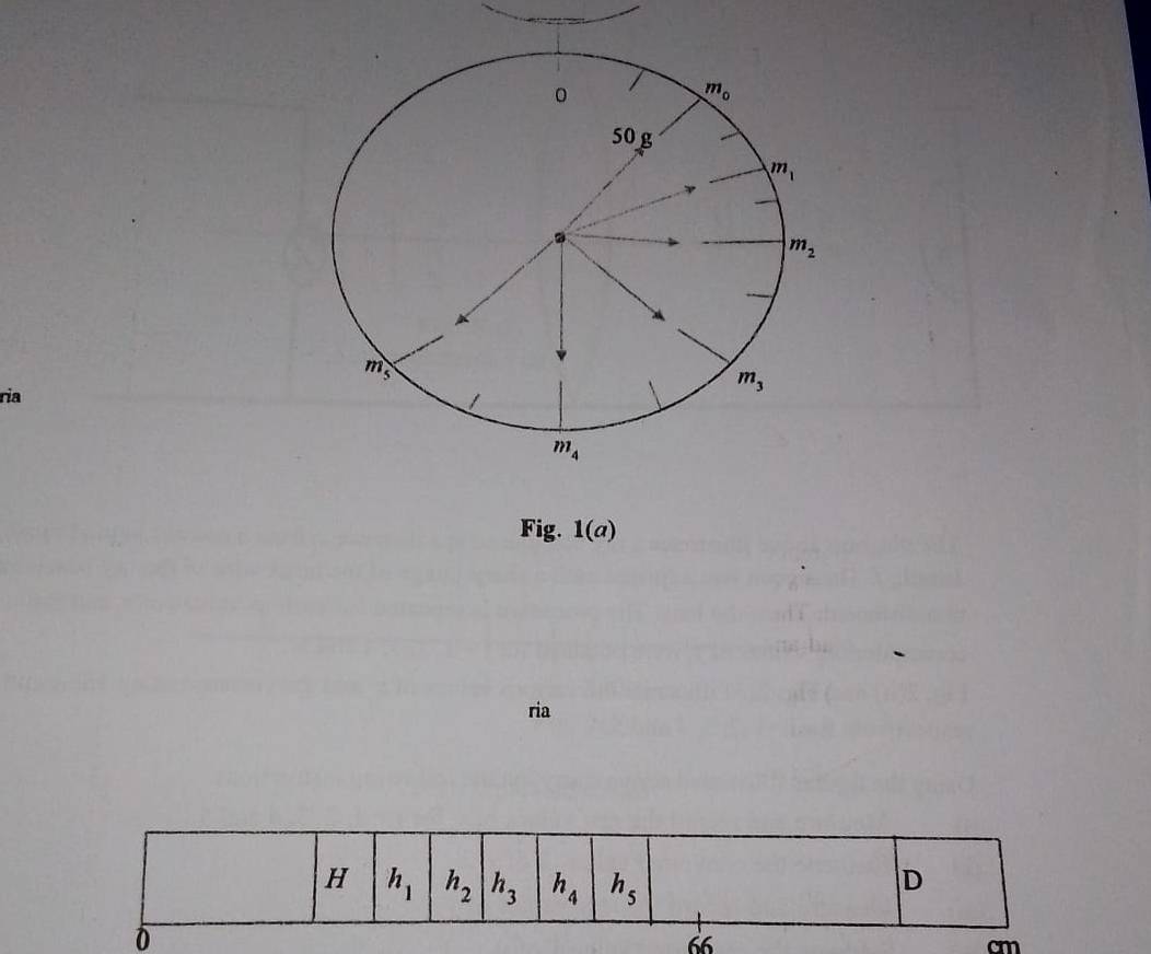 ria
Fig. 1(a)
ria