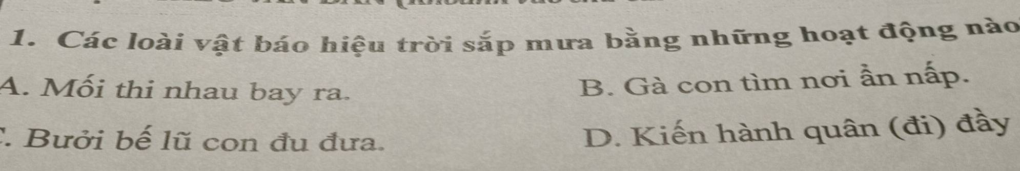 Các loài vật báo hiệu trời sắp mưa bằng những hoạt động nào
A. Mối thi nhau bay ra.
B. Gà con tìm nơi ần nấp.
C. Bưởi bế lũ con đu đưa.
D. Kiến hành quân (đi) đầy
