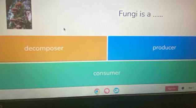 Fungi is a_
decomposer producer
consumer
a