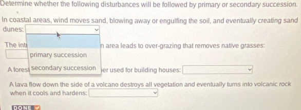 Determine whether the following disturbances will be followed by primary or secondary succession. 
In coastal areas, wind moves sand, blowing away or engulfing the soil, and eventually creating sand 
dunes: 
The int n area leads to over-grazing that removes native grasses: 
primary succession 
A forest secondary succession )er used for building houses: 
A lava flow down the side of a volcano destroys all vegetation and eventually turns into volcanic rock 
when it cools and hardens: 
DONE