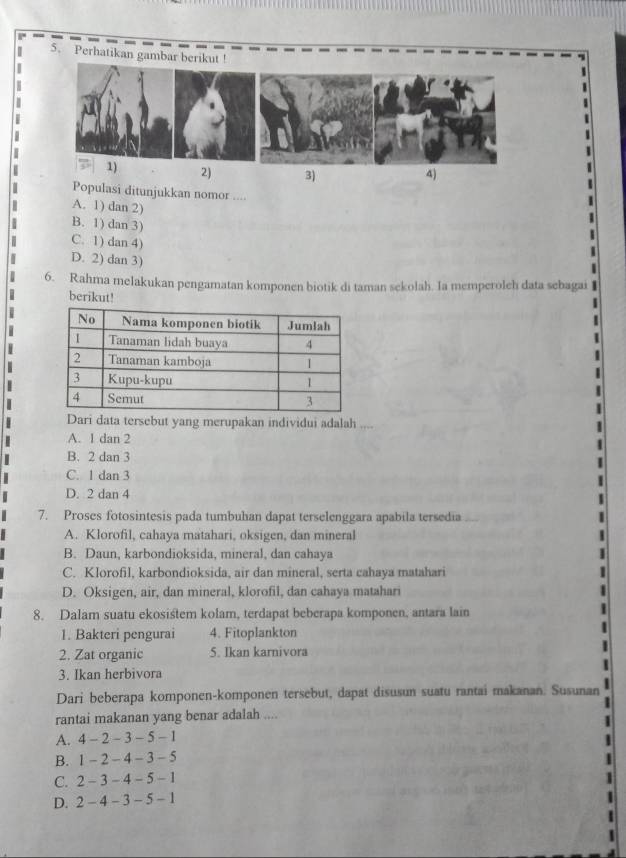 Perhatikan gambar berikut !
1) 2) 3)
4)
Populasi ditunjukkan nomor ....
A. 1) dan 2)
B. 1) dan 3)
C. 1) dan 4)
D. 2) dan 3)
6. Rahma melakukan pengamatan komponen biotik di taman sekolah. Ia memperoleh data sebagai
berikut!
Dari data tersebut yang merupakan individui adalah ....
A. 1 dan 2
B. 2 dan 3
C. 1 dan 3
D. 2 dan 4
7. Proses fotosintesis pada tumbuhan dapat terselenggara apabila tersedia
A. Klorofil, cahaya matahari, oksigen, dan mineral
B. Daun, karbondioksida, mineral, dan cahaya
C. Klorofil, karbondioksida, air dan mineral, serta cahaya matahari
D. Oksigen, air, dan mineral, klorofil, dan cahaya matahari
8. Dalam suatu ekosistem kolam, terdapat beberapa komponen, antara lain
1. Bakteri pengurai 4. Fitoplankton
2. Zat organic 5. Ikan karnivora
3. Ikan herbivora
Dari beberapa komponen-komponen tersebut, dapat disusun suatu rantai makanan. Susunan
rantai makanan yang benar adalah ....
A. 4-2-3-5-1
B. 1-2-4-3-5
C. 2-3-4-5-1
D. 2-4-3-5-1