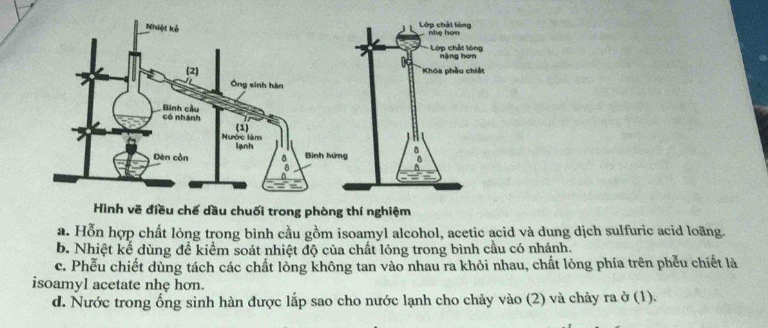 ình vẽ điều chế dầu chuối trong phòng thí nghiệm
a. Hỗn hợp chất lỏng trong bình cầu gồm isoamyl alcohol, acetic acid và dung dịch sulfuric acid loãng.
b. Nhiệt kể dùng để kiểm soát nhiệt độ của chất lỏng trong bình cầu có nhánh.
c. Phễu chiết dùng tách các chất lỏng không tan vào nhau ra khỏi nhau, chất lỏng phía trên phếu chiết là
isoamyl acetate nhẹ hơn.
d. Nước trong ống sinh hàn được lắp sao cho nước lạnh cho chảy vào (2) và chảy ra ở (1).