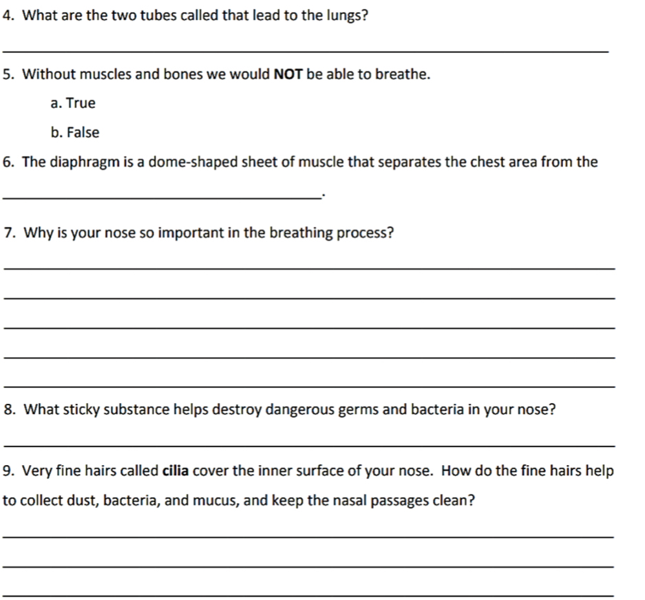 What are the two tubes called that lead to the lungs?
_
5. Without muscles and bones we would NOT be able to breathe.
a. True
b. False
6. The diaphragm is a dome-shaped sheet of muscle that separates the chest area from the
_·
7. Why is your nose so important in the breathing process?
_
_
_
_
_
8. What sticky substance helps destroy dangerous germs and bacteria in your nose?
_
9. Very fine hairs called cilia cover the inner surface of your nose. How do the fine hairs help
to collect dust, bacteria, and mucus, and keep the nasal passages clean?
_
_
_