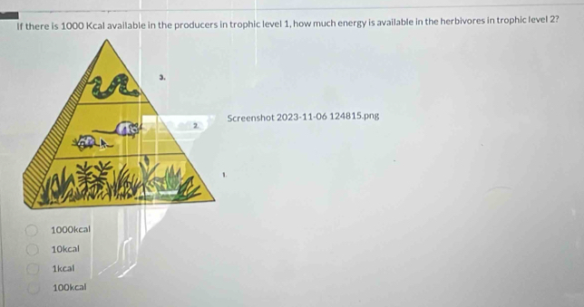 If there is 1000 Kcal available in the producers in trophic level 1, how much energy is available in the herbivores in trophic level 2?
Screenshot 2023-11-06 124815.png
.
1000kcal
10kcal
1kcal
100kcal