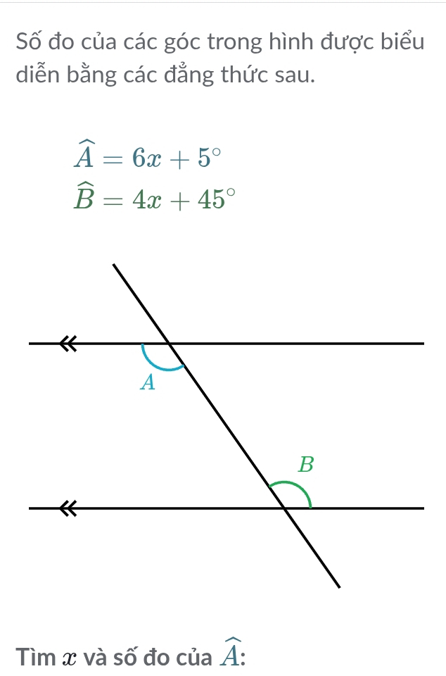 Số đo của các góc trong hình được biểu 
diễn bằng các đẳng thức sau.
widehat A=6x+5°
widehat B=4x+45°
Tìm x và số đo của widehat A :