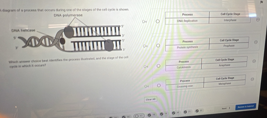 diagram of a process that occurs during one of the stages of the cell cycle is shown.
Process Cell Cycle Stage
DNA Replication Interphase

Which answer choice best identifies the process illustrated, and the stage of the cell
cycle in which it occurs? 
Clear All
Nesl  Remew & Submit