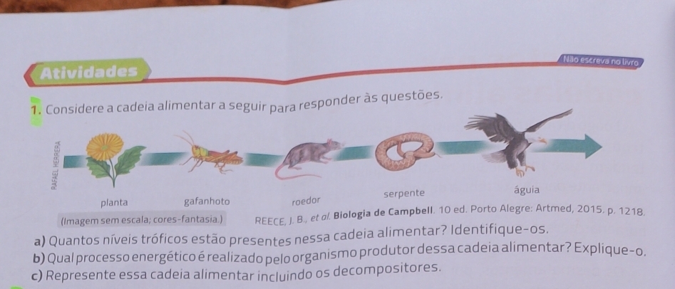 Não escreva no livro 
Atividades 
1. Considere a cadeia alimentar a seguir para responder às questões. 
(Imagem sem escala; cores-fantasia.) REECE, J. B., et σ/. Biologia de Cam8. 
a) Quantos níveis tróficos estão presentes nessa cadeia alimentar? Identifique-os. 
b) Qual processo energético é realizado pelo organismo produtor dessa cadeia alimentar? Explique-o. 
c) Represente essa cadeia alimentar incluindo os decompositores.