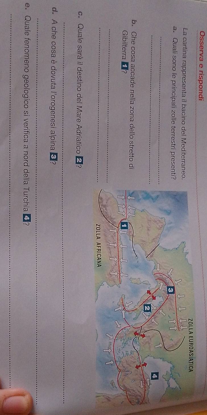 Osserva e rispondi 
La cartina rappresenta il bacino del Mediterrane 
a. Quali sono le principali zolle terrestri present 
_ 
_ 
b. Che cosa accade nella zona dello stretto di 
Gibilterra ? 
_ 
_ 
c. Quale sarà il destino del Mare Adriatico 2? 
_ 
d. A che cosa è dovuta l'orogenesi alpina ¤? 
_ 
e. Quale fenomeno geologico si verifica a nord della Turchia 4 ? 
_