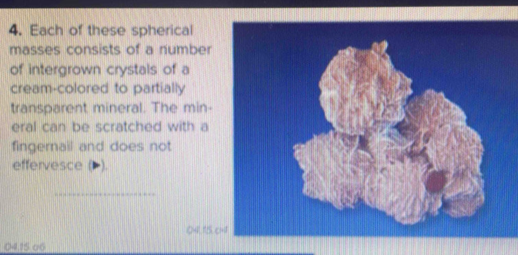 Each of these spherical 
masses consists of a number 
of intergrown crystals of a 
cream-colored to partially 
transparent mineral. The min- 
eral can be scratched with a 
fingernail and does not 
effervesce ( ). 
_
04, 15,
04, 15 o6