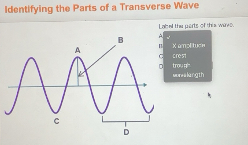 Solved: Identifying the Parts of a Transverse Wave Label the parts of ...