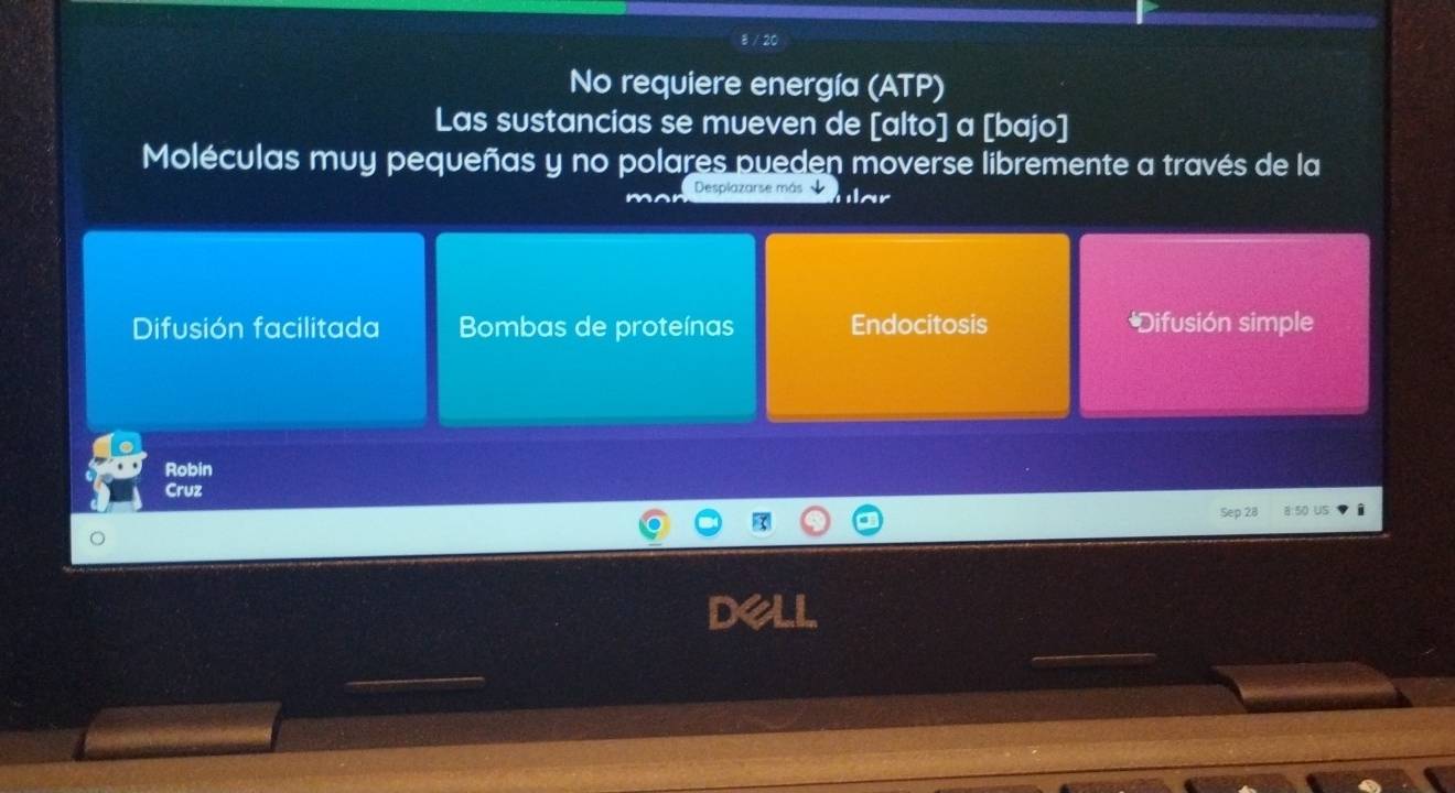 No requiere energía (ATP)
Las sustancias se mueven de [alto] a [bajo]
Moléculas muy pequeñas y no polares pueden moverse libremente a través de la
Desplazarse más ar
Difusión facilitada Bombas de proteínas Endocitosis *Difusión simple
Robin
Cruz
xp 28
_